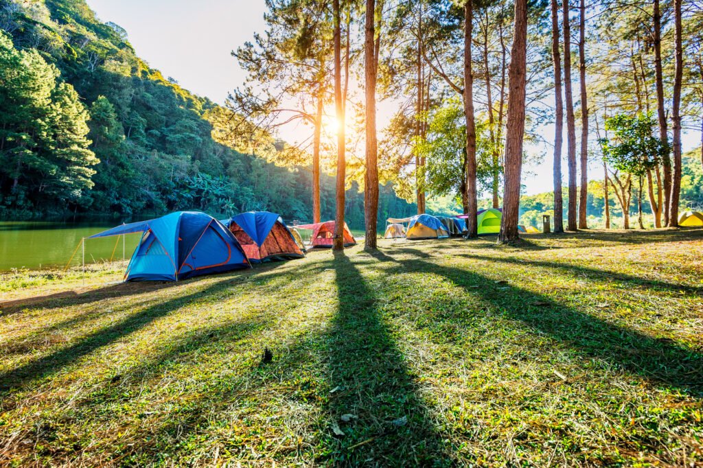 Choosing a suitable camping site