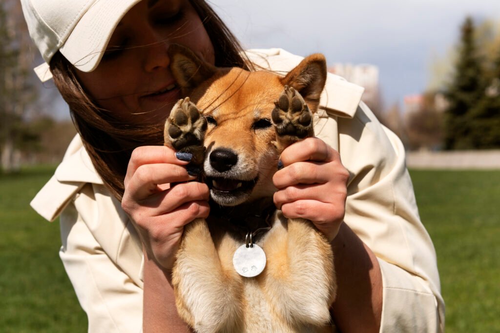 Have a dog ID for your pet's safety