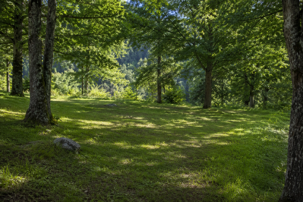 how to pitch a tent choosing campsite flat ground natural shade trees away from low areas good drainage